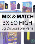 Mix and Match : 3 – So High Extracts – 5G Disposable Vape Pen
