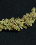 Power plant Weed 10 G